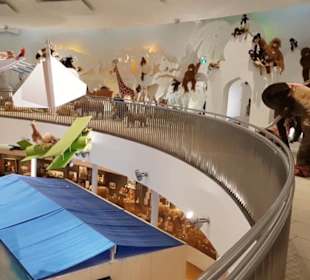 Steiff Museum