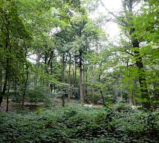 Impressionen aus Pellens Park