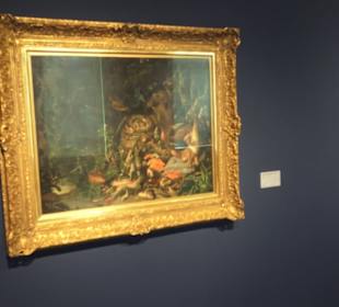 Museum für Vor- und Frühgeschichte