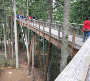 Baumwipfelpfad