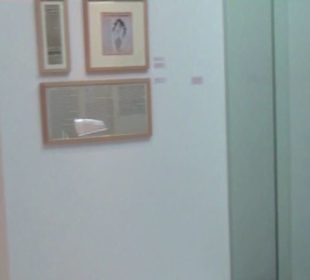 Fundacion Cesar Manrique