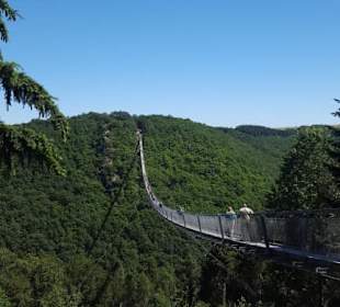 Hängeseilbrücke Geierlay