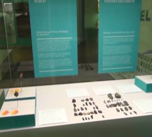 Niedersächsisches Landesmuseum