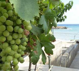 Arapis Coral Bay Restaurant und strand 