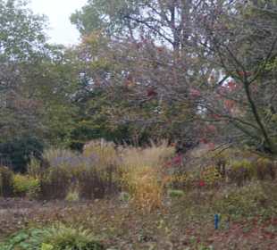 Parkanlage Planten un Blomen