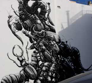 Auch in "Calle del Lomo"