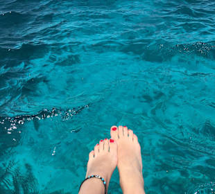 Dolphin House Aqua Center