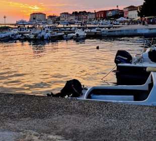Hafen
