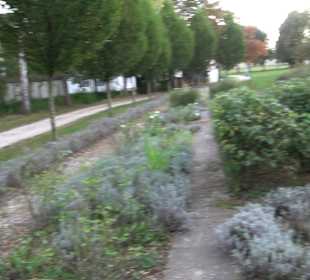 Klosterpark Altheim