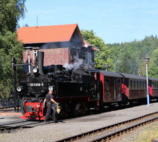 Historischer Dampfzug