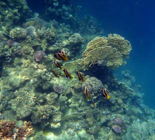 Wir kommen wieder, aber nur noch im Winter