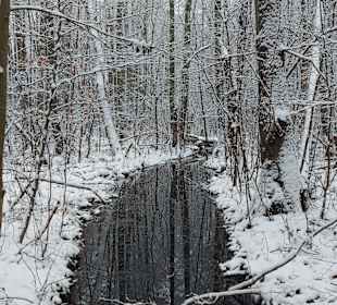 Wandern Templin