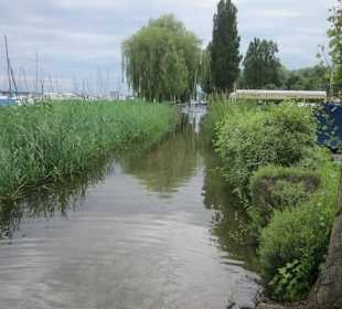 Insel Reichenau Hochwasser