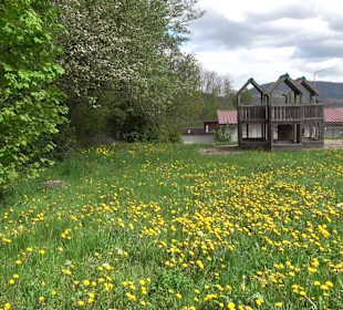 Naturerlebnisweg des NABU-Metzingen