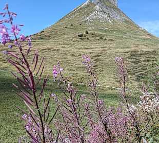 Damülser Mittagsspitze