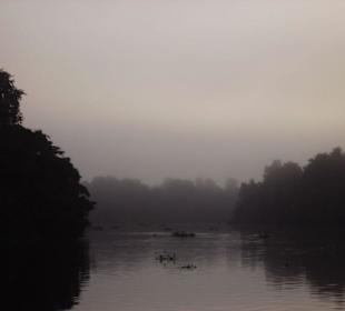 Der Morgen im Camp am Orrinoco Delta