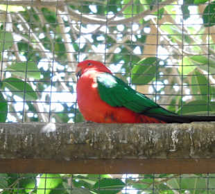 Palmitos Park