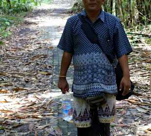 Wanderung im Bambuswald (Ost-Bali)