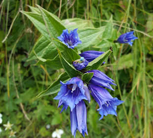 Wandern Stötten am Auerberg