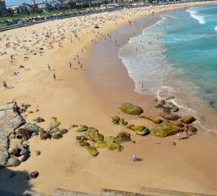 Bondi Beach