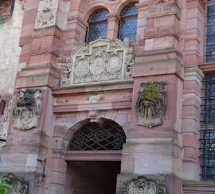 Schloss Ein- und Ausblicke