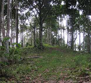 Nathon Mountain Ridge Trek