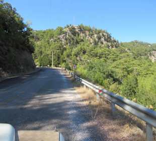 Rückfahrt zum Ausgangspunkt der Safari