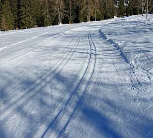 Skigebiet Pertisau