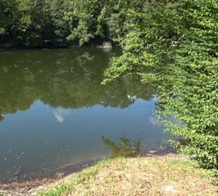 Neuer See