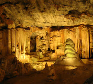 .. Wunder der Natur II