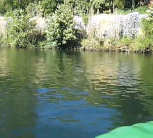 Fantasy - Wassertreter