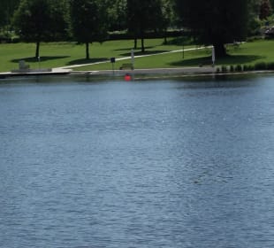 Freibad Stadtweiher