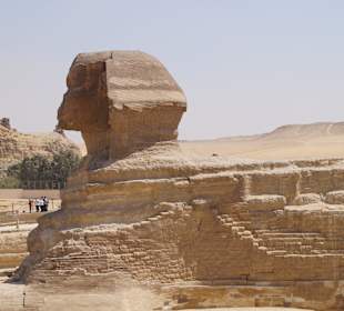 Die Sphinx