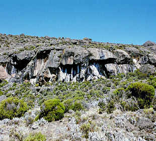 Zebra Rocks