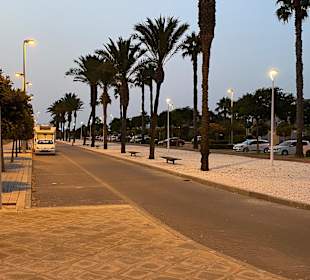 Stadtrundgang Costa Ballena