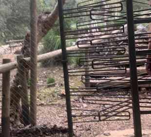 Leider nicht noch mehr Fotos gemacht 