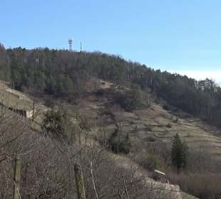 Naturschutzgebiet Hirschauer Berg