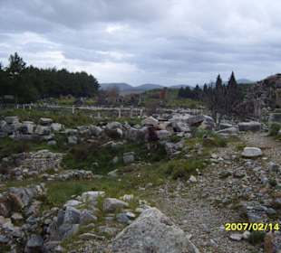 Ein Ausgrabungsfeld!