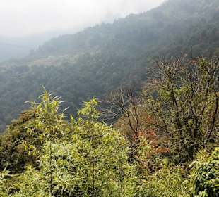 Restaurant Dantak Canteen