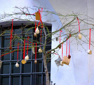 Bozen im Bild Eindrücke-Impressionen