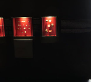 Rheinisches Landesmuseum