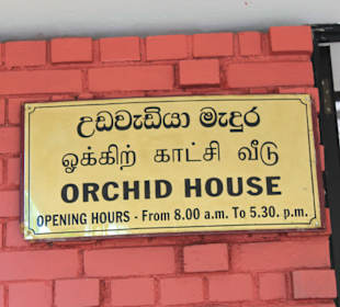 Потрясающая коллекция орхидей