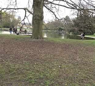 Schlossgarten Karlsruhe