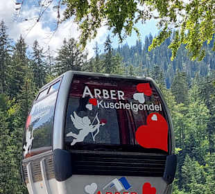 Arber Bergbahn - Großer Arber