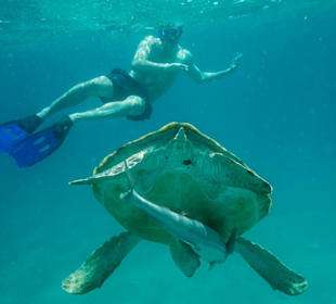 FTI-Blaue Fahrt nach Port Ghalib