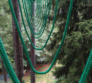 Forest Jump Park Linowy 