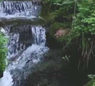 Flößerpfad Loßburg