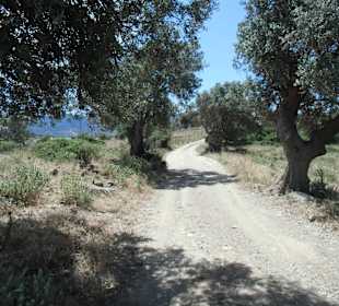 Panorama-Wanderung um Nea Styra