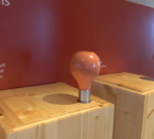 Schwarzwälder Schinkenmuseum