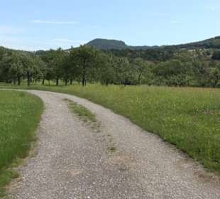 Premiumspazierweg Früchtetrauf-Leisawegle